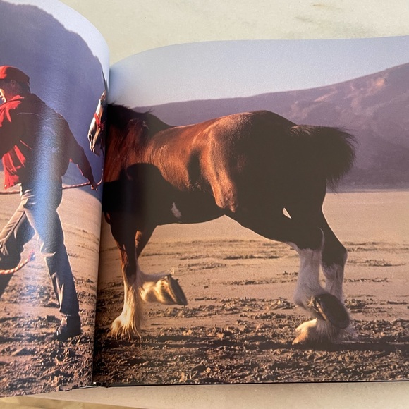 Budweiser Coffee Table Book - The Great American Tradition - Picture 14 of 15